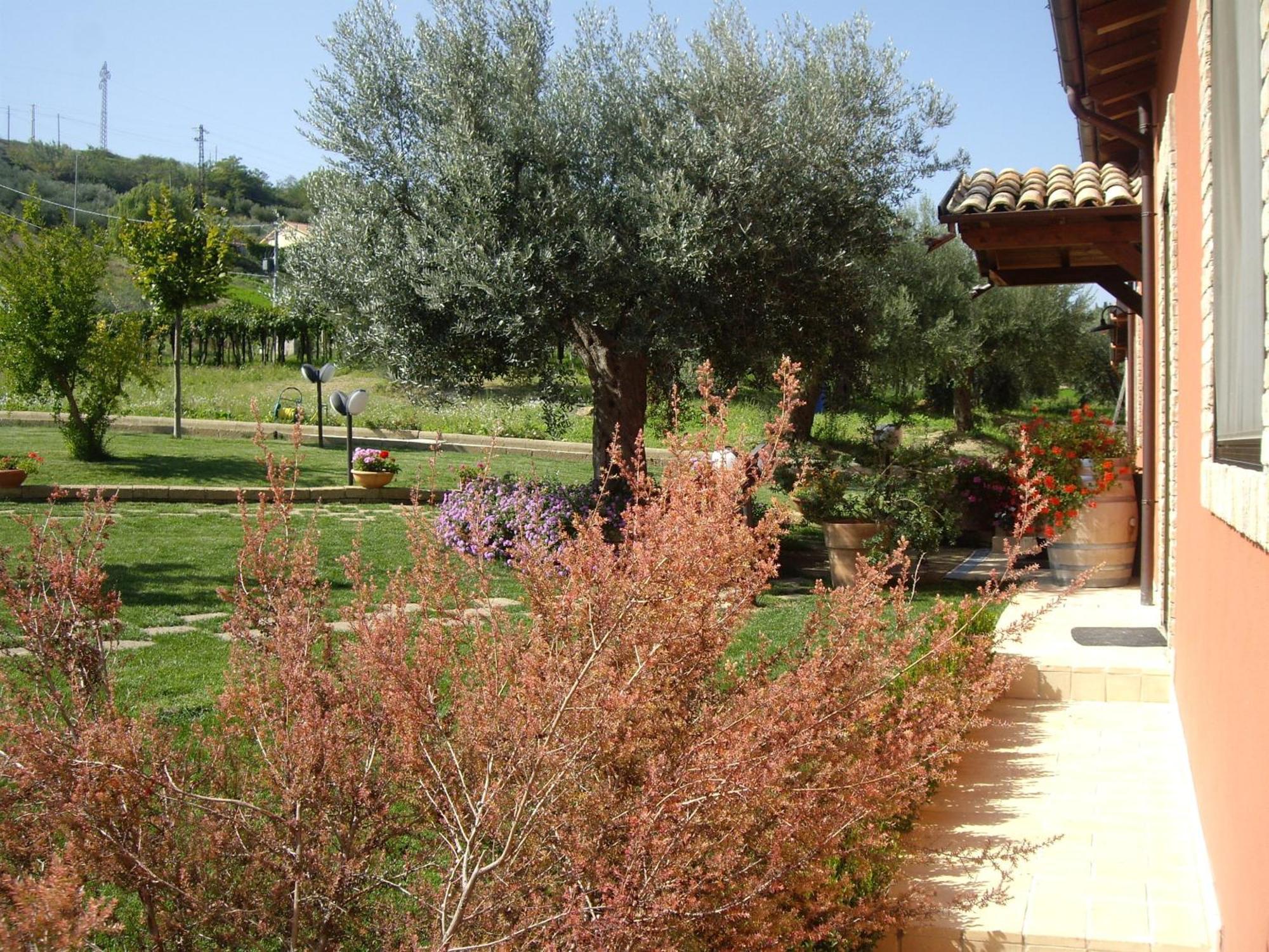 Agriturismo Il Borgo Degli Ulivi Розето-дельи-Абруцци Экстерьер фото