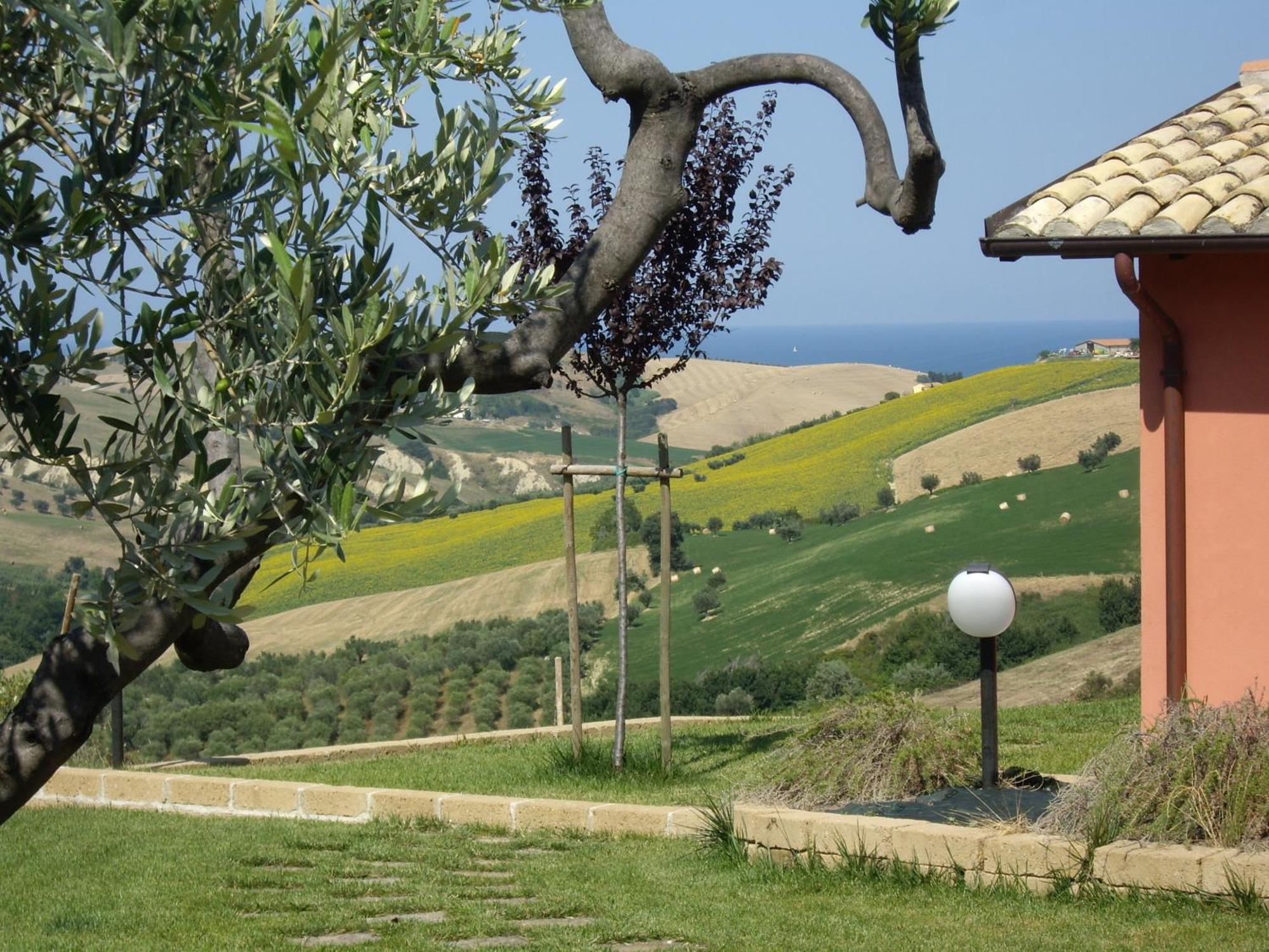 Agriturismo Il Borgo Degli Ulivi Розето-дельи-Абруцци Экстерьер фото